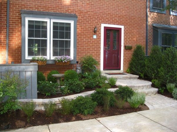 Manicured front yard lawn maintained by 718LANDSCAPE