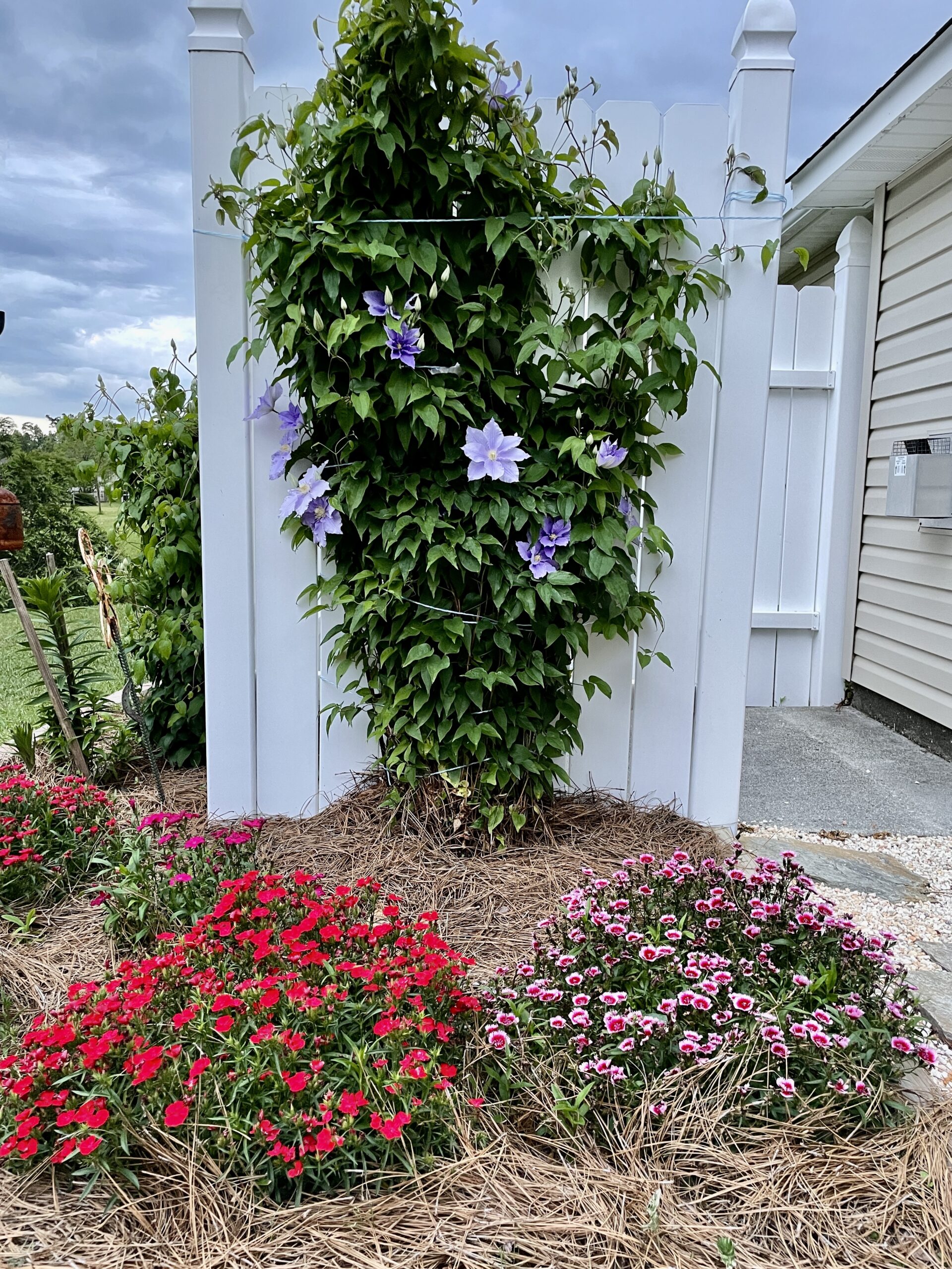 Landscaping project completed by 718LANDSCAPE
