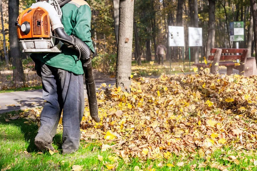 Leaf removal and fall cleanup service