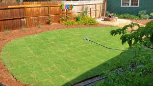 Finished sod installation